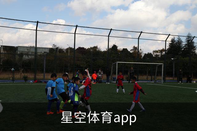 星空体育app 公司简介